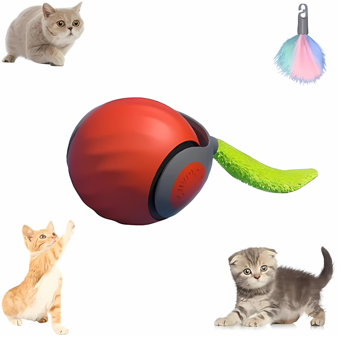 PELOTA INTERACTIVA – Diversión automática para tu mascota sin esfuerzo