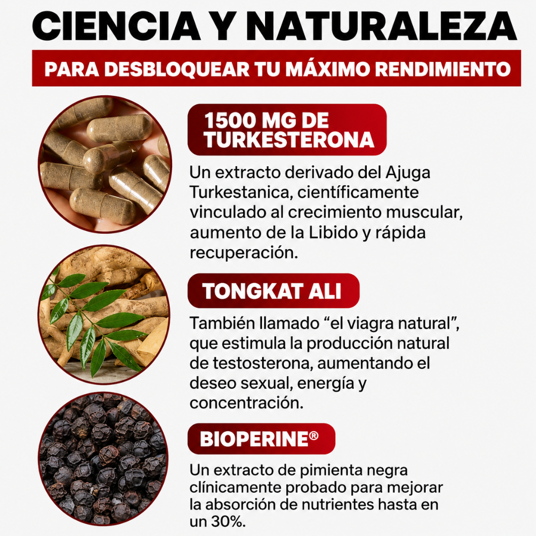 TURKESTERONE — Fuerza, masa y rendimiento desde un origen natural
