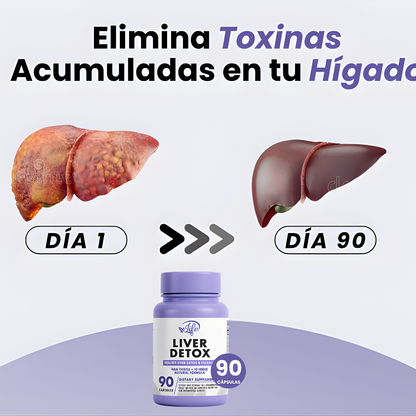 LIVER DETOX 90 CÁPSULAS (LIMPIADOR HEPÁTICO) – Apoyo hepático, equilibrio interno y bienestar digestivo