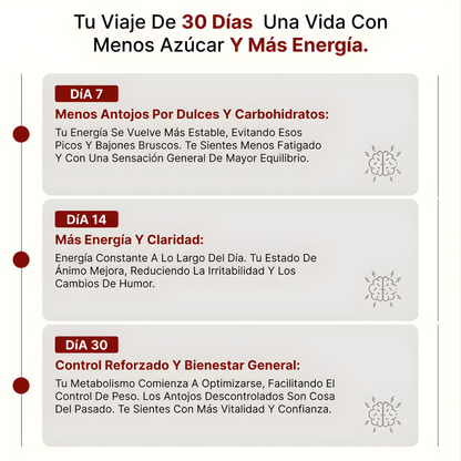 BLOOD SUGAR — Apoyo diario para energía más estable