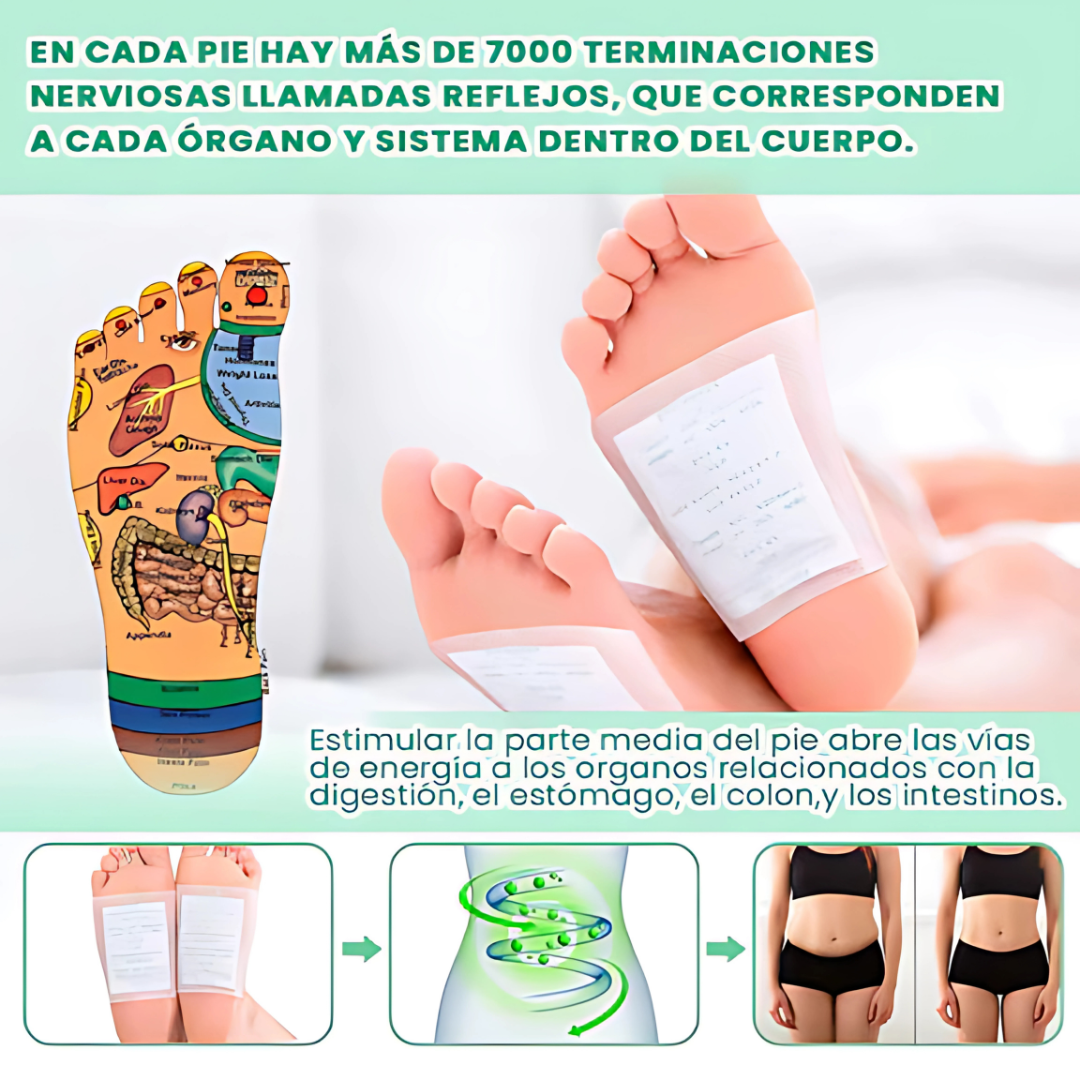 PARCHES DESINTOXICANTES – 10 UNIDADES – Limpia tu cuerpo mientras duermes