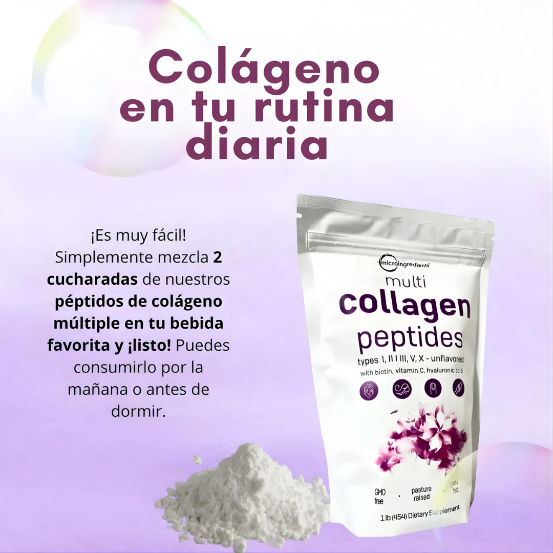 MULTICOLLAGEN POLVO – Apoyo nutricional completo, bienestar diario y nutrición consciente