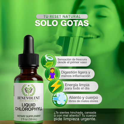 CLOROFILA BENEVOLENT – Purifica tu cuerpo y equilibra tu energía desde adentro